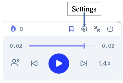 Screenshot of the Google Docs playback toolbar highlighting the Settings button