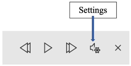 Screenshot of the playback tool bar highlighting the Settings button